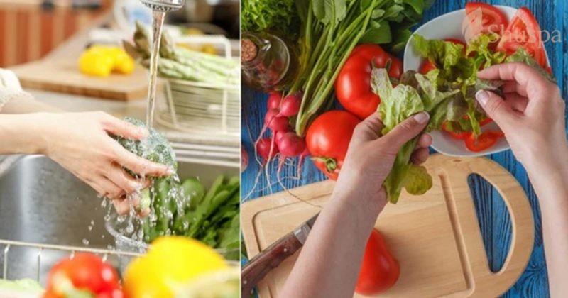 Khâu chế biến thực phẩm cũng vô cùng quan trọng trong chế độ ăn