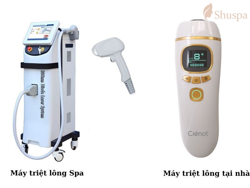 Máy triệt lông mini và máy triệt lông chuyên nghiệp có sự khác biệt như thế nào?