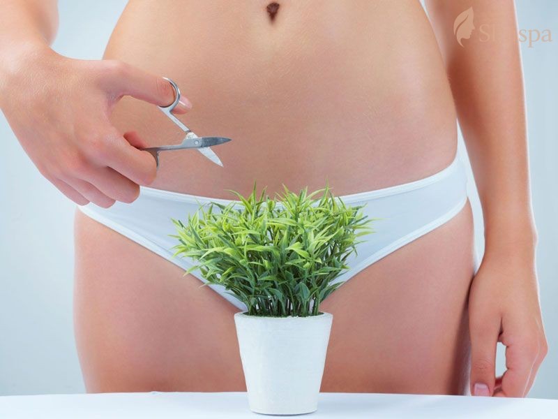 Trong quan hệ tình dục việc triệt lông vùng kín cũng mang đến nhiều xúc cảm